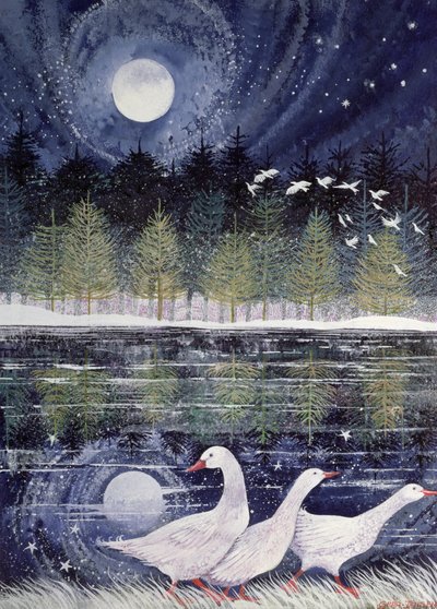 Snow Geese by Lisa Graa Jensen
